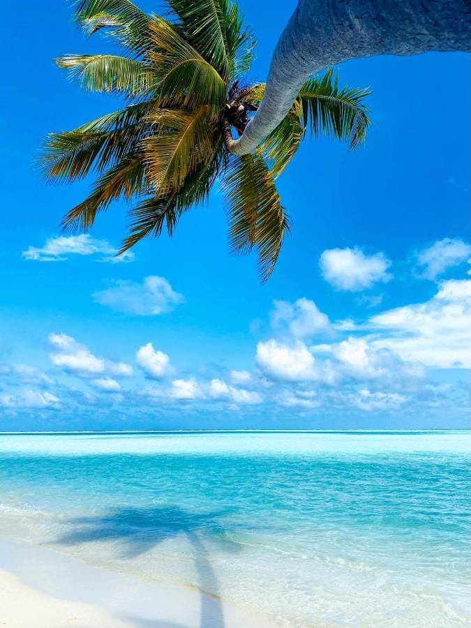 Wow Inn Keyodhoo Keyodhoo (Vaavu Atoll) Exterior foto